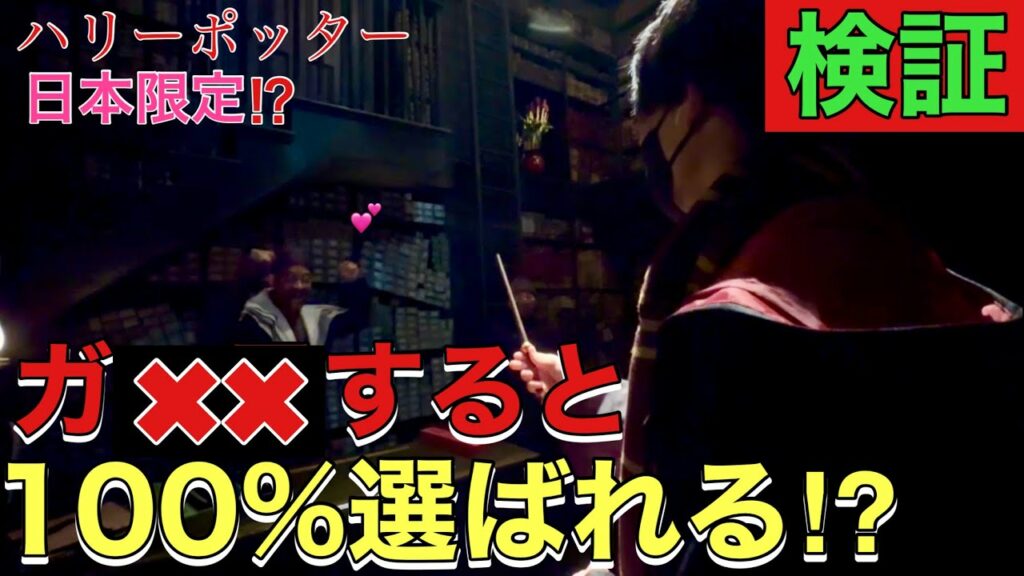【検証】オリバンダーの店で絶対に杖を選んでもらえる方法があるらしい