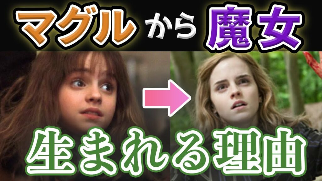 【ハーマイオニーはマグルなのになぜ?】マグルから魔法使いが生まれる理由【ハリーポッター】