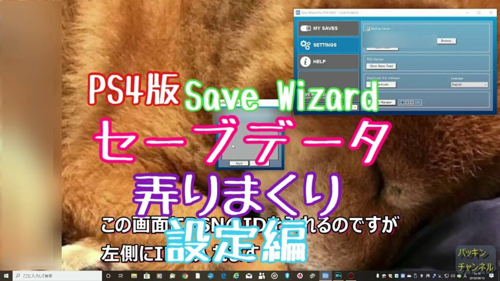 Save Wizard for PS4 MAX セーブウィザード 実際に使うまでの設定