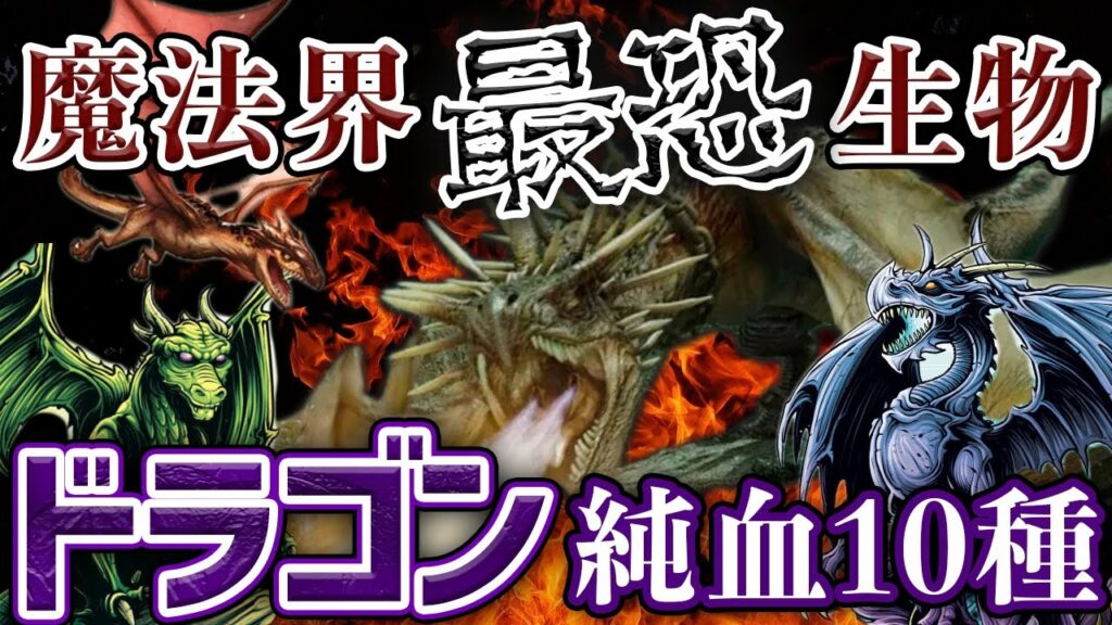 【魔法界最恐生物】ドラゴン純血種10種◆実は第二次世界大戦で戦っていた…!?