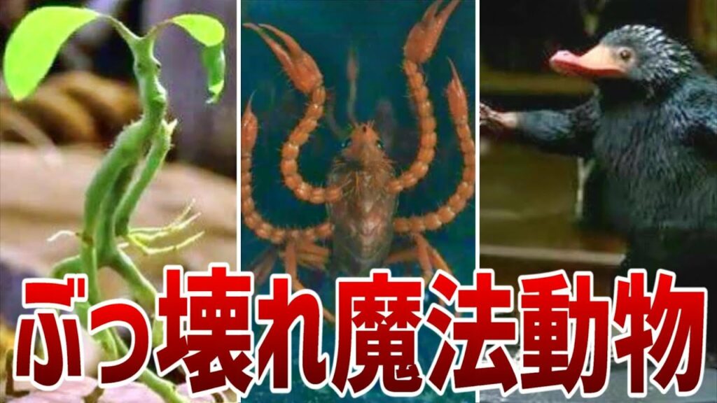 【新事実判明】ガチでチートすぎる魔法動物10選!【ファンタビ】