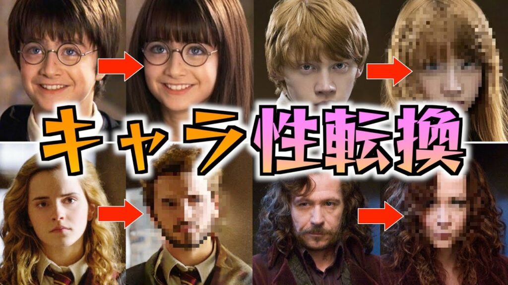 【入れ替えても美男美女!?】ハリーポッターのキャラ達の性別を入れ替えたら??※ナレなし